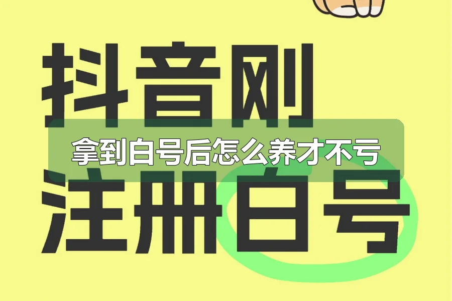 拿到白号后怎么养才不亏